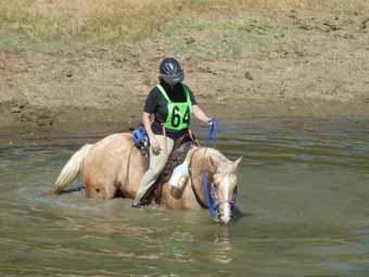 Tango Leading the Way - Into the Pond