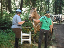Mounting at Ladies Trail Camp