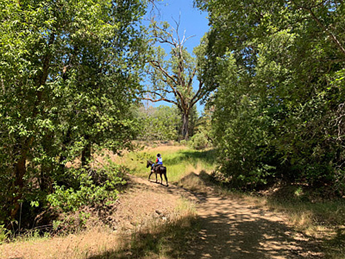 Eel River NATRC